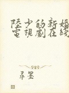 陆少的新婚哑妻电视剧在线观看全集免费