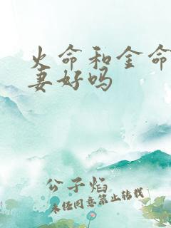 火命和金命的夫妻好吗