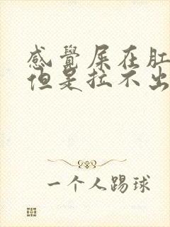 感觉屎在肛门口但是拉不出来怎么办