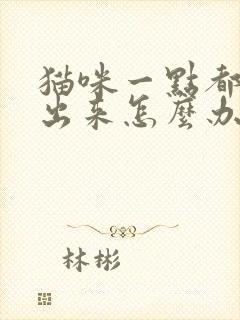 猫咪一点都尿不出来怎么办