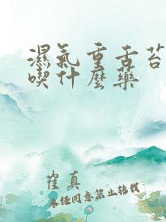 湿气重舌苔厚白吃什么药