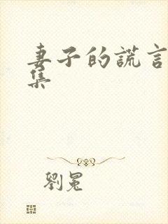 妻子的谎言53集