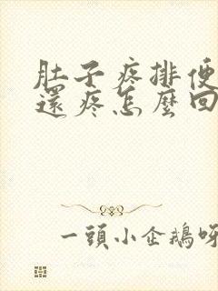 肚子疼排便肛门还疼怎么回事