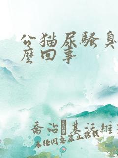 公猫尿骚臭是怎么回事