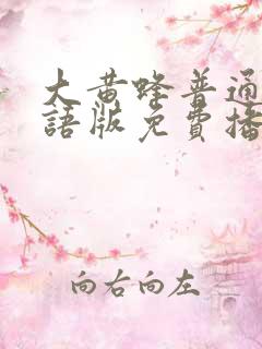 大黄蜂普通话国语版免费播放