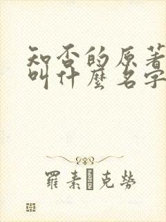 知否的原著小说叫什么名字