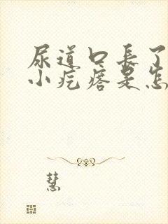 尿道口长了一个小疙瘩是怎么回事