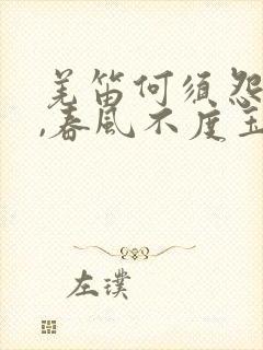 羌笛何须怨杨柳,春风不度玉门关表达的情感