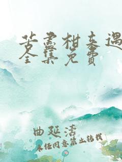 苦尽柑来遇见你全集免费