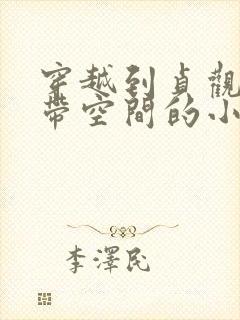 穿越到贞观年间带空间的小说