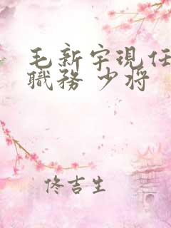 毛新宇现任什么职务 少将