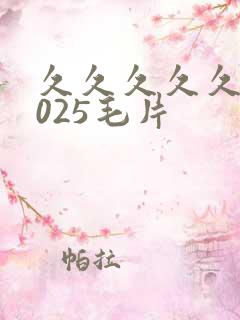 久久久久久久2025毛片
