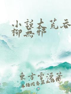 小说大荒吞天诀柳无邪