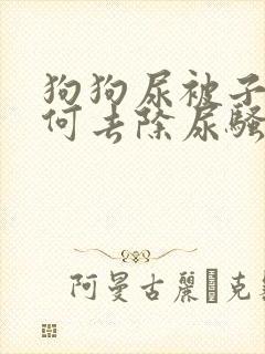 狗狗尿被子上如何去除尿骚味