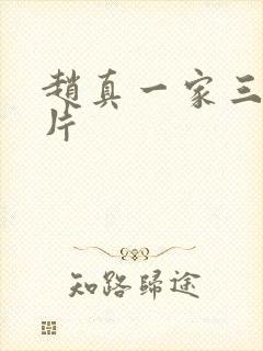 赵真一家三口照片