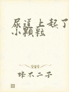 尿道上起了好多小颗粒