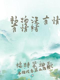 动物没有情感只有情绪