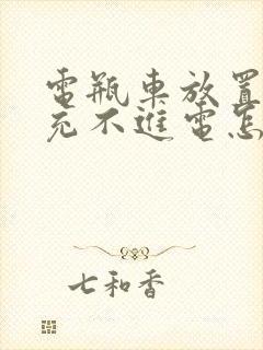 电瓶车放置久了充不进电怎么修复