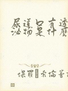 尿道口有透明分泌物是什么