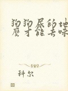 狗狗尿的地方怎么才能去味