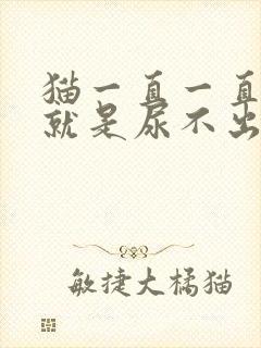 猫一直一直喝水就是尿不出来怎么办