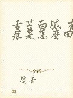 舌苔白腻 有齿痕是怎么回事