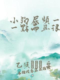 小狗尿频一会尿一点而且很黄