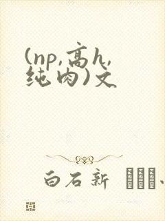 (np,高h,纯肉)文
