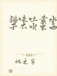 猫咪吐黄水拉肚子不吃东西没精神怎么办