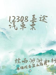 12308长途汽车票