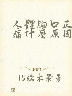 人体胸口正中间痛什么原因