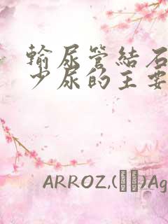 输尿管结石引起少尿的主要原因是