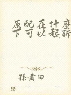 原配在什么情况下可以起诉小三