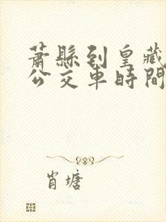 萧县到皇藏峪的公交车时间表查询