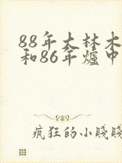 88年大林木命和86年炉中火命