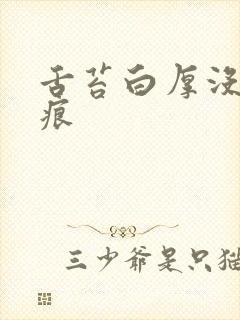 舌苔白厚没有齿痕