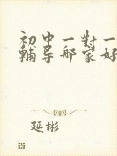 初中一对一上门辅导哪家好