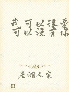 我可以很爱你也可以没有你是什么歌