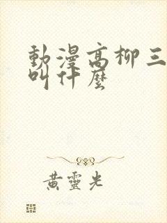 动漫高柳三部曲叫什么