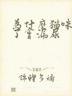 为什么猫咪睡着了会漏尿