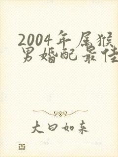 2004年属猴男婚配最佳属相