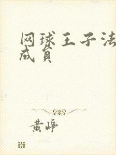 网球王子法国队成员