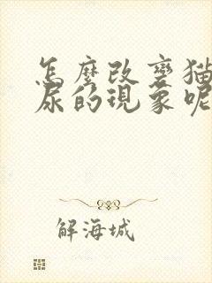 怎么改变猫咪乱尿的现象呢