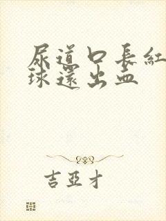 尿道口长红色肉球还出血