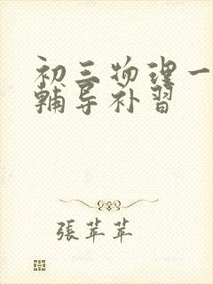 初三物理一对一辅导补习