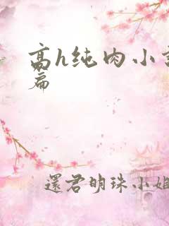 高h纯肉小说短篇