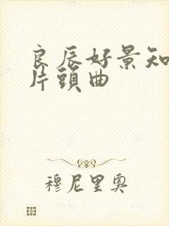 良辰好景知几何片头曲