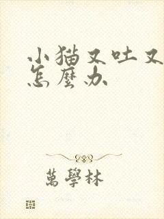 小猫又吐又拉稀怎么办