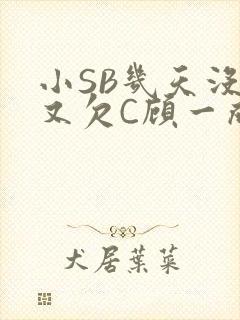 小SB几天没做又欠C顾一成视频