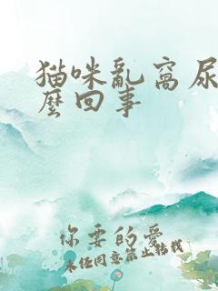 猫咪乱窝尿是怎么回事